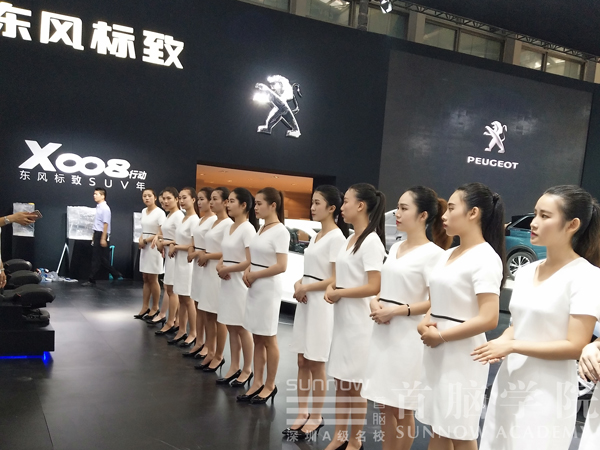 首腦&深港澳國際車展