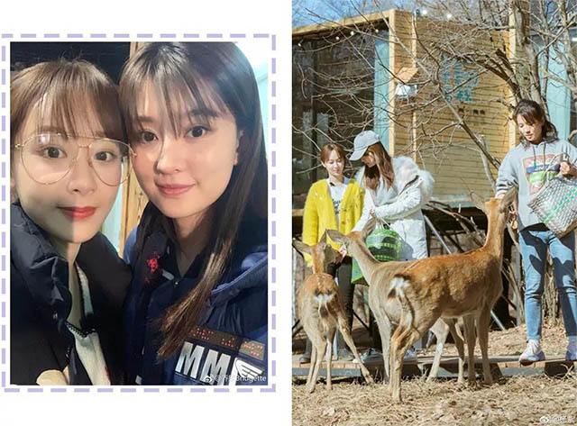 美發(fā)培訓學校