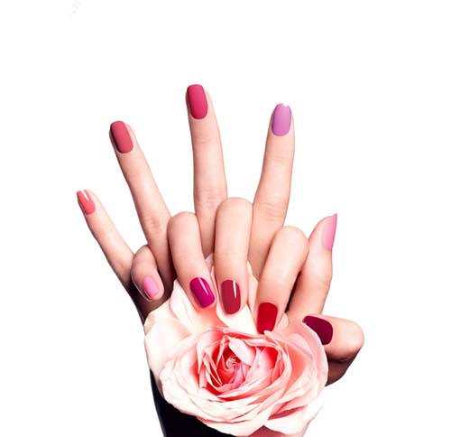 深圳美甲培訓(xùn)學(xué)校學(xué)費是多少