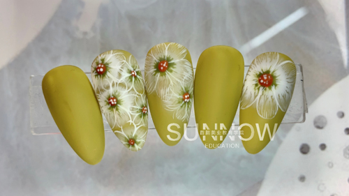 深圳正規(guī)的美甲培訓學校